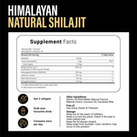 Natural Shilajit Gummies